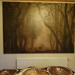 Op De Veluwe 沃尔夫黑泽