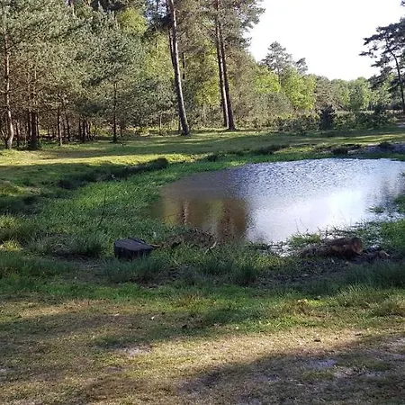 Op De Veluwe * Wolfheze