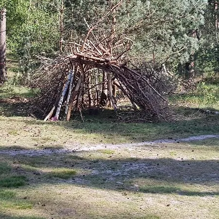 Op De Veluwe *