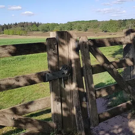 Op De Veluwe בקתה