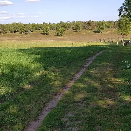 Op De Veluwe בקתה וולפהייזה