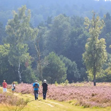Op De Veluwe