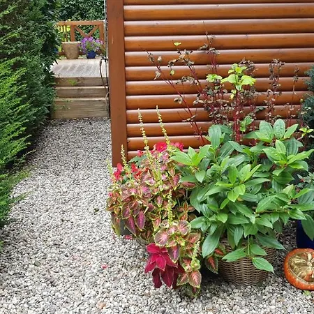 Op De Veluwe Chalet Wolfheze