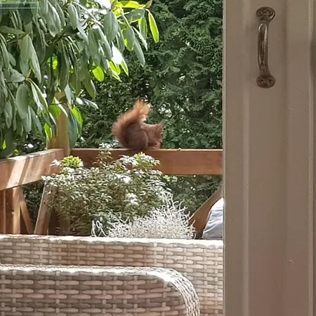 Chalet Op De Veluwe *