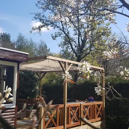 Op De Veluwe בקתה *