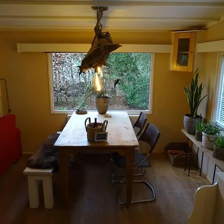 Op De Veluwe בקתה