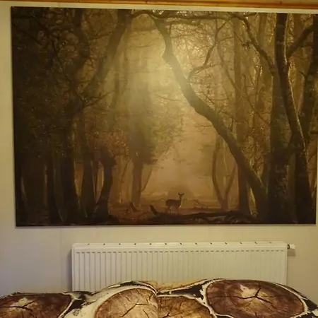 Op De Veluwe וולפהייזה