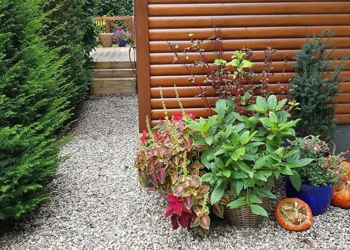 Op De Veluwe Alpstuga Wolfheze