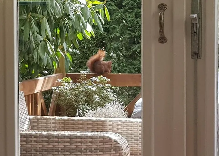 Alpstuga Op De Veluwe *