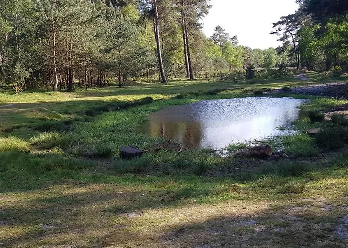 Op De Veluwe * 沃尔夫黑泽