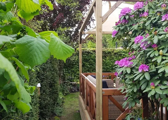 Op De Veluwe 木屋 沃尔夫黑泽