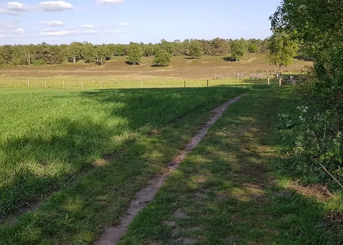 Op De Veluwe شاليه وولفهيزه