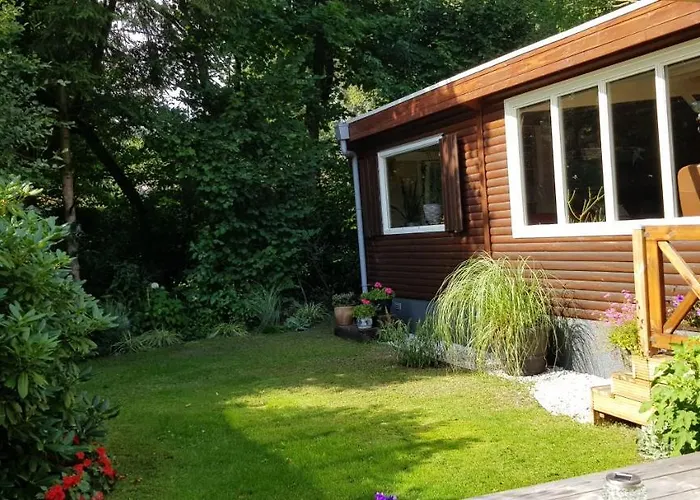 Op De Veluwe 沃尔夫黑泽