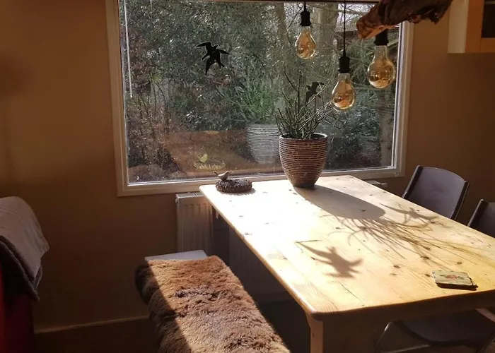 Op De Veluwe 沃尔夫黑泽